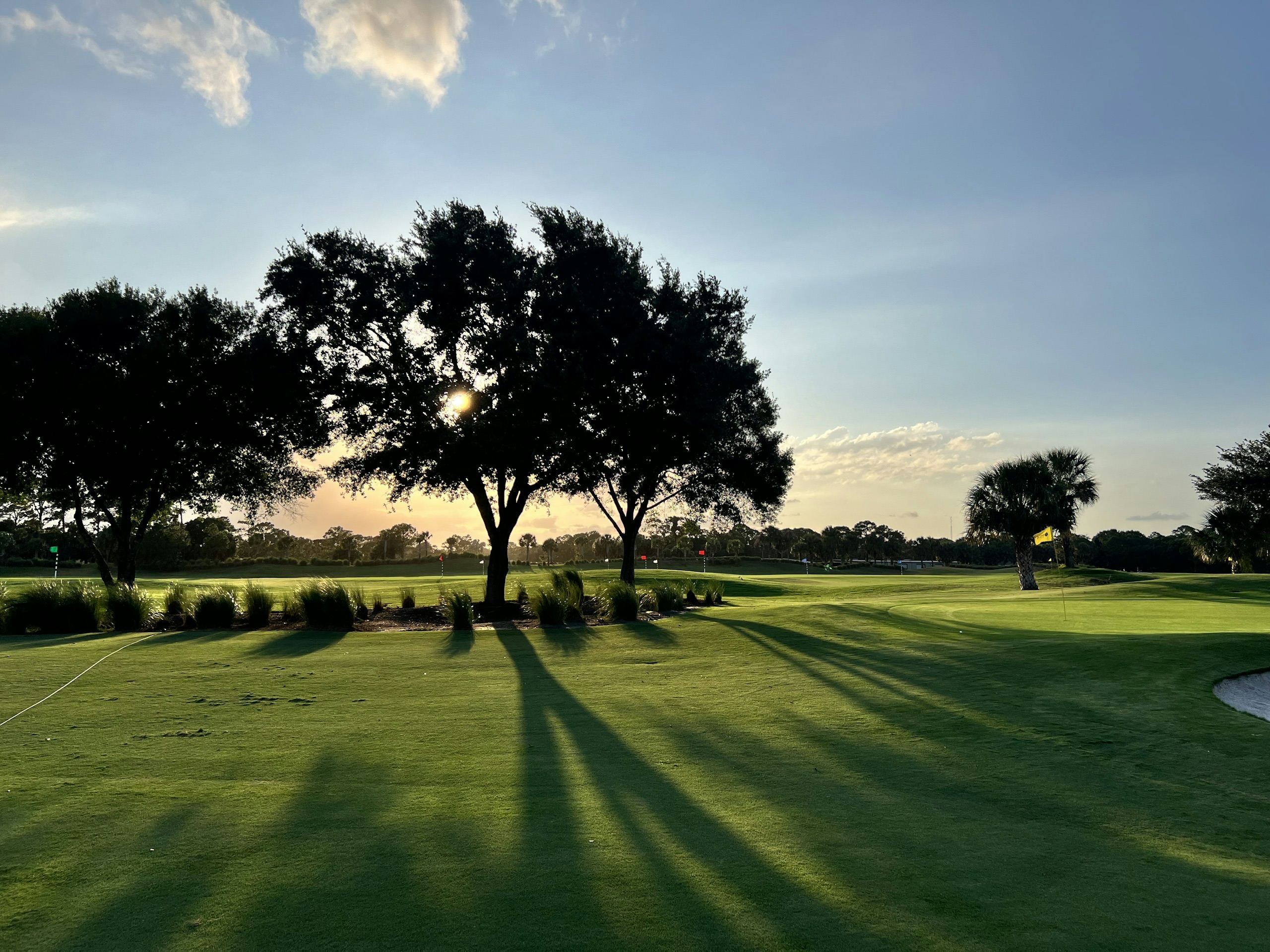 Il campo da golf nella luce radente del mattino.