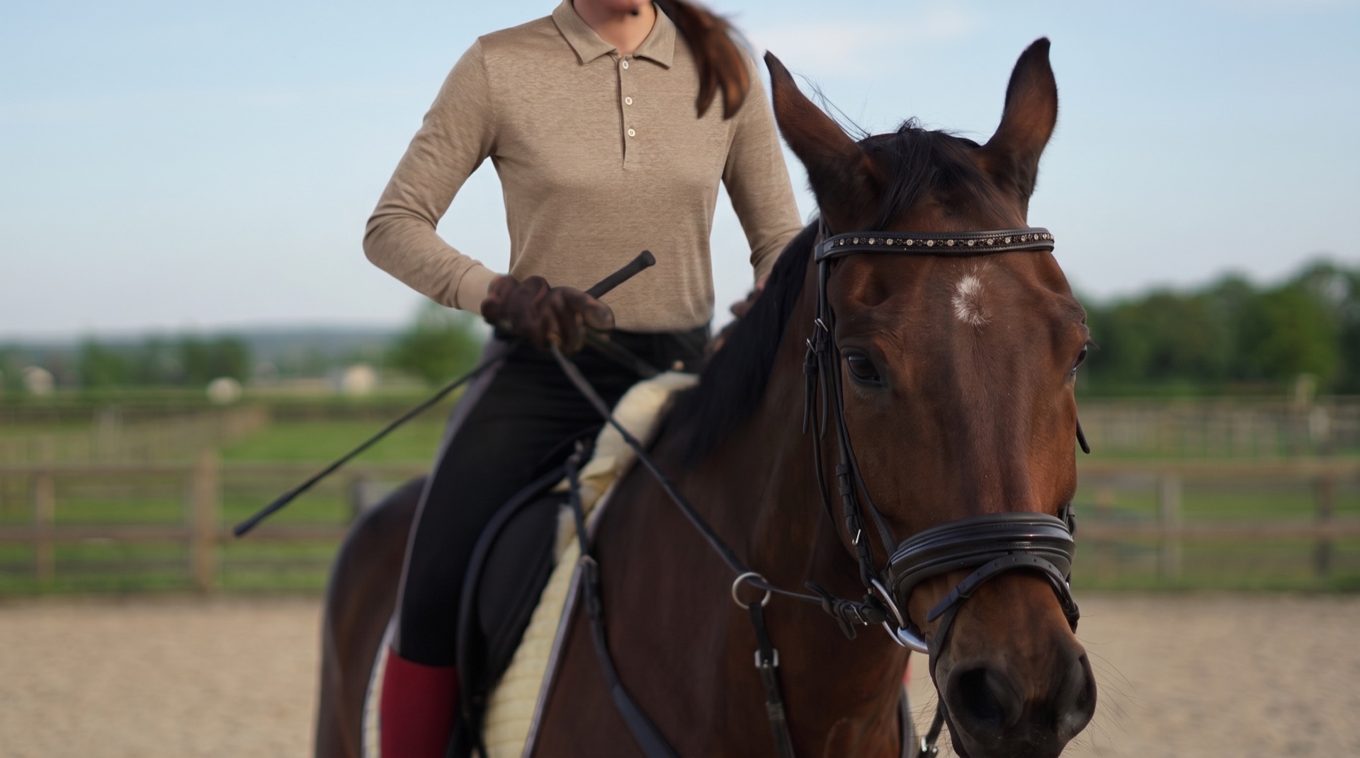 Un'amazzone in polo di lino beige, in sella a un cavallo baio
                      con la briglia da concorso.